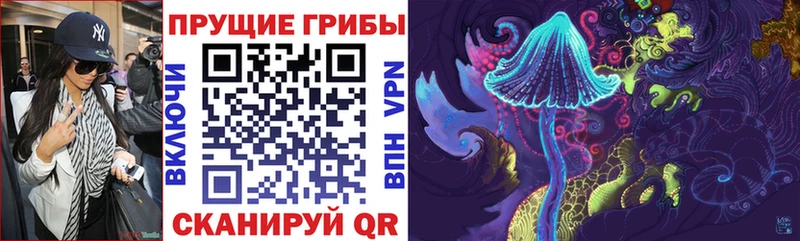 omg вход  Кола  Псилоцибиновые грибы Magic Shrooms 